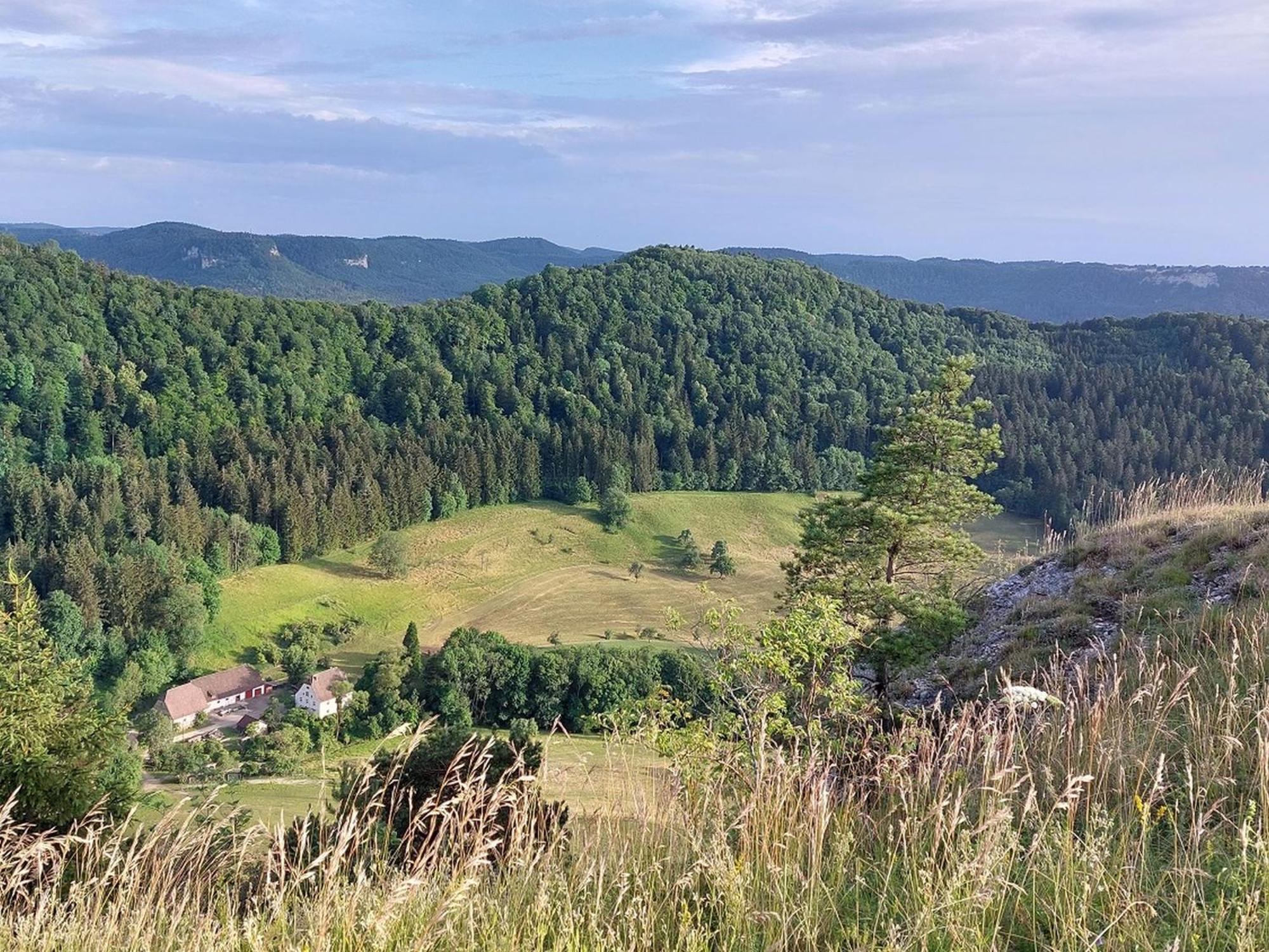 Ferienwohnung Schatz Albstadt Bagian luar foto
